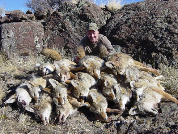 That's a stack of Idaho fur!