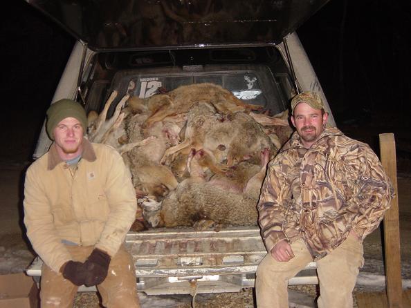 Scott and Tony, with a stack of Kansas coyotes.