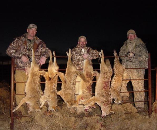 Nice afternoon of calling...Oklahoma style.