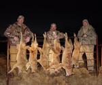 Nice afternoon of calling...Oklahoma style.
