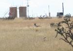 gunyote4.jpg