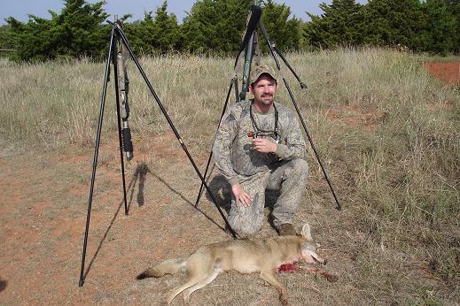 Early season Oklahoma male.