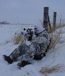 Snowy Midwest fox stand.