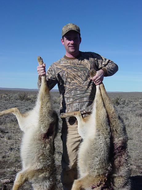 Carrying back a Nevada triple.