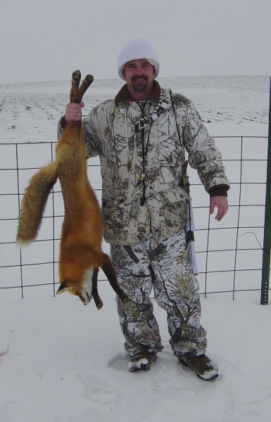 Snow and fox, back in Iowa.