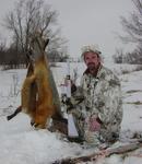 Snow fox double in Iowa.