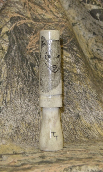 antlercoyote2.JPG