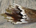 brownmarble4.jpg