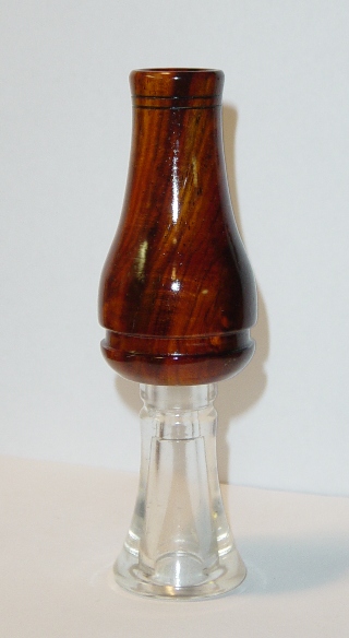 conejo1.jpg