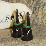 tthorntips010908.JPG
