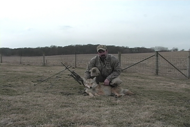 Coyote stalked up on.
