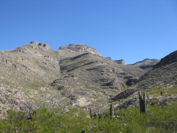 Photo4.JPG
