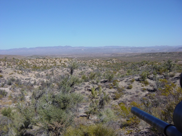 Great looking stand in Arizona