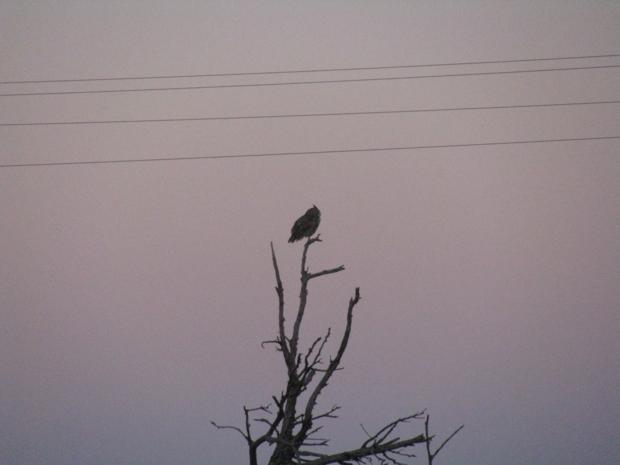 Photo93.JPG