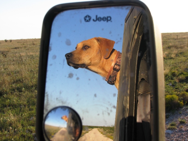 gunnermirror