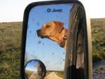 gunnermirror