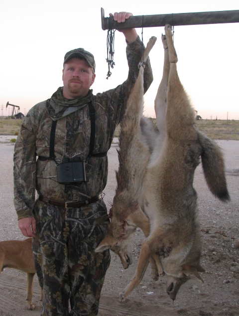 timbigcoyote1